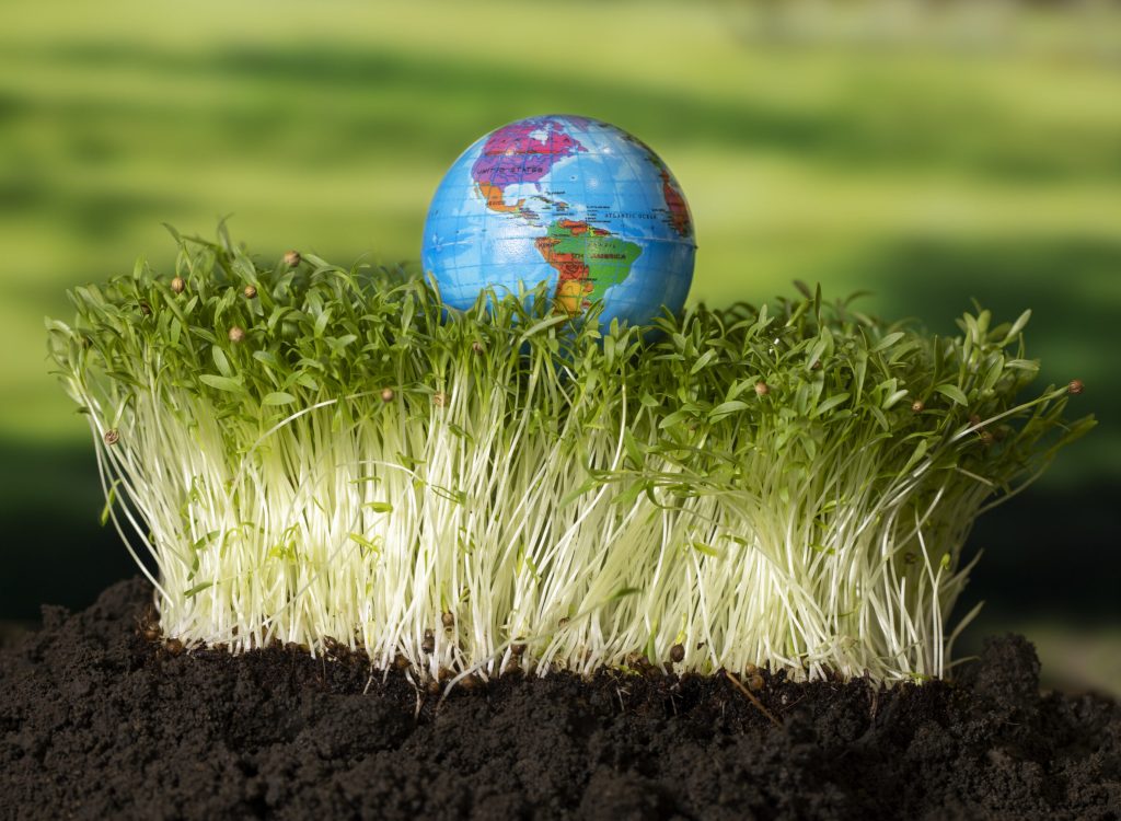 sustainable-development-goals-still-life